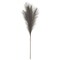 Gray Pampas Grass Pick with Flexible Brown Wrapped Stem 28 Inch